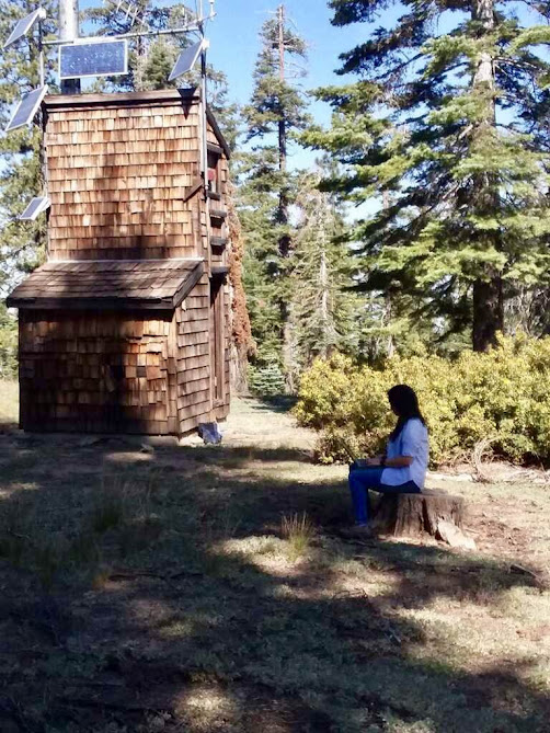 At a monitoring station